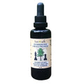 David Wolfe Texas Pine Pollen Tincture | Natural Hormone & Jing Tonic David Wolfe Australia